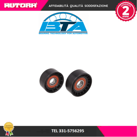 2 Rulli tenditore, Cinghia Poly-V (MARCA BTA)..