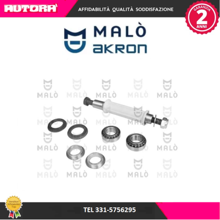 Kit riparazione, Braccio oscillante posteriore (MARCA MALO')..