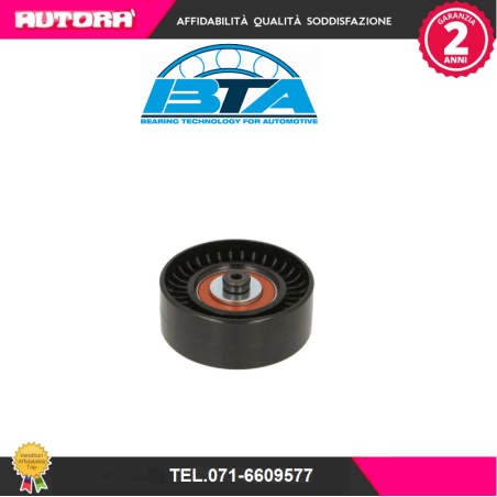 Rullo tenditore, Cinghia Poly-V (MARCA BTA)..