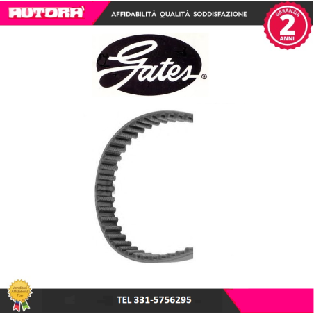 Cinghia dentata Fiat-Lancia 1.6 (MARCA-GATES)..