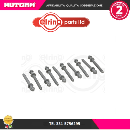 Kit bulloni testata Citroen-Peugeot 1.8-1.9 Diesel (MARCA-ELRING)..