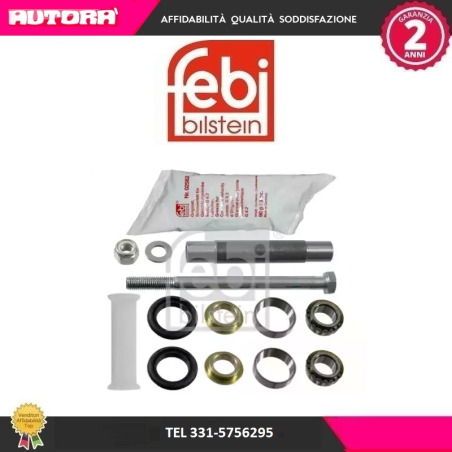 Kit riparazione, Braccio oscillante posteriore (MARCA FEBI)..