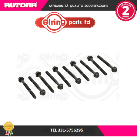 Kit bulloni testata (MARCA-ERLING)..