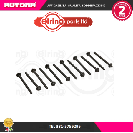 Kit bulloni testata (MARCA ELRING)..