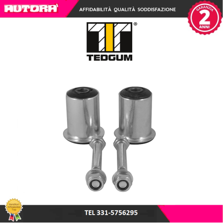 Kit boccole braccio oscillante posteriore 500-600-Panda (169) (MARCA-TEDGUM)..