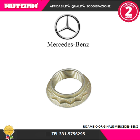 1239900060 Dado albero di trasmissione (MARCA-MERCEDES).