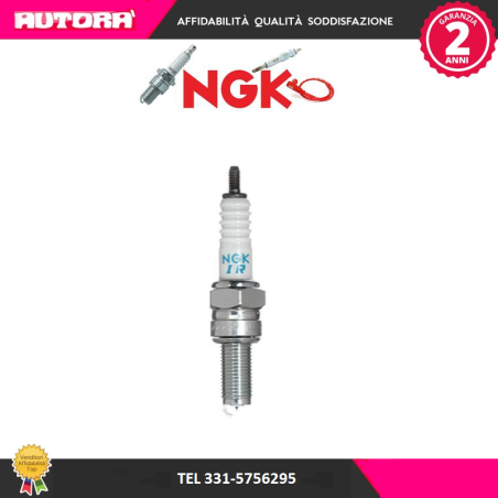 6289 Candela accensione CR9EIA-9 (MARCA NGK)..
