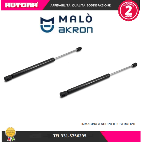 127972 2 Molle a gas posteriore adatto a Suzuki Alto (MARCA-MALO')..
