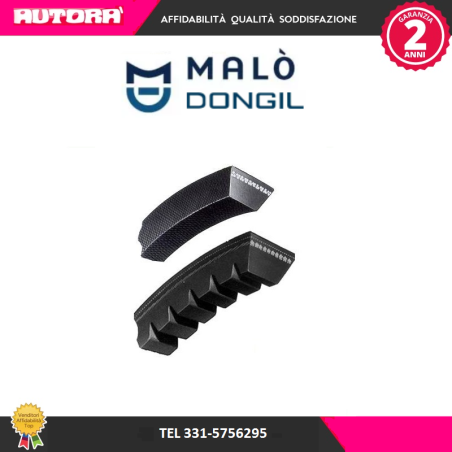 10X1200 Cinghia trapezoidale (MARCA DONGIL)..