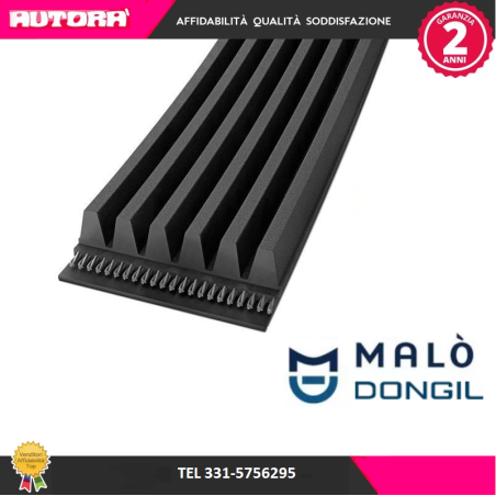 6PK1705 Cinghia Poly-V (MARCA-DONGIL)..