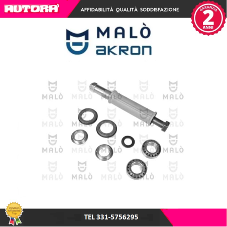 15213 Kit braccio sospensione posteriore adatto a Fiat Multipla (MARCA-MALO')..